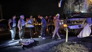 Şanlıurfada yolcu otobüsleri çarpıştı: 13 yaralı