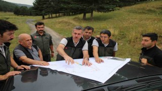 Sarıkamışta orman çalışmaları masaya yatırıldı: Bölge Müdürü Karakurttan sahalarda inceleme