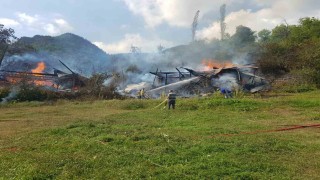 Şavşat'ta köy yangını: 4 hane alevlere teslim oldu