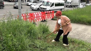 Şehir merkezinde tırpanla geçim mücadelesi