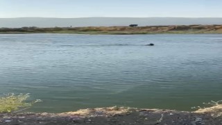 Serinlemek için girdiği göletten cansız bedeni çıktı