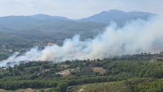 Seydikemerde orman yangını