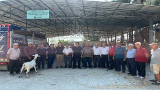 Seydikemerde yangında hayvanlarını kaybeden çiftçilere küçükbaş hayvan desteği