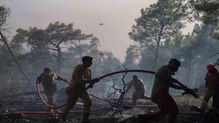 Seydikemerdeki orman yangınının enerjisi düşürüldü
