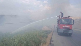 Siirt Üniversitesi Kezer yerleşkesi yakınlarında örtü yangını: 100 dönümden fazla alan zarar gördü