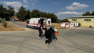Siirtte beyin kanaması geçiren kadın ambulans helikopterle hastaneye sevk edildi
