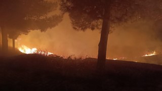 Siirtte mezarlıkta çıkan yangın itfaiye ekiplerince söndürüldü