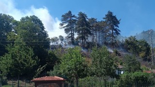 Sinoptaki orman yangınıyla ilgili 1 kişi tutuklandı