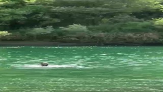 Şırnakta 4 kadının bindiği bot devrildi: 1 ölü