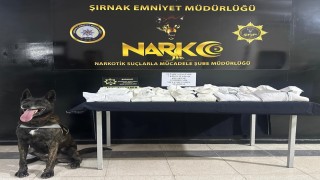 Şırnakta 6,5 milyon liralık kaçak malzeme ele geçirildi 1 şüpheli tutuklandı
