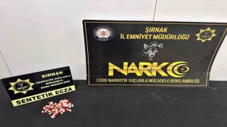 Şırnakta asayiş ve narkotik operasyonları düzenlendi