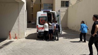 Siverekte Fırat Nehrine giren 2 kişi boğuldu