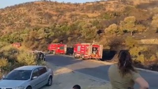 Sökedeki orman yangını kontrol altına alındı