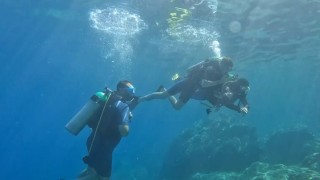 Su altının renkli dünyası, Marmarise dalış turizmiyle hayat veriyor