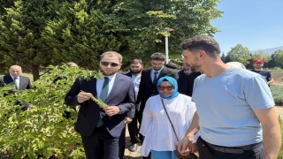 Suriye Hama heyetinden Kocaelideki tarımsal projelere inceleme