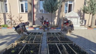 Suriyeye geçirilmek istenen 2 bin 114 saka kuşuna 19 milyon 871 bin TL ceza
