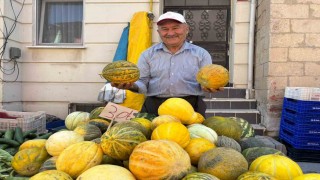 Tavşanlının meşhur Kışlademirli kavunu pazara indi