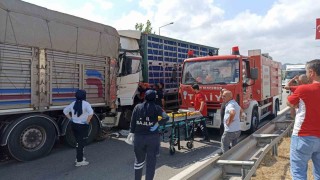 Tavuk yüklü tır, önündeki kamyona çarptı: 2 yaralı