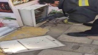 Tekirdağda doğalgaz kutusuna giren yılanı kedi fark etti