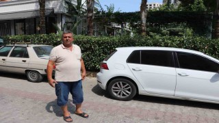 Telef olan kediyi besleyen vatandaşlardan pitbullun sahibine tepki