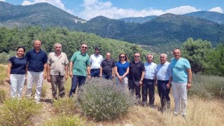 Tıbbi ve Aromatik Bitkileri yerinde inceleme