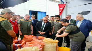 TMO, Giresunda fındık alımına başladı