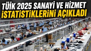 TÜİK 2025 Sanayi Ve Hizmet İstatistiklerini Açıkladı