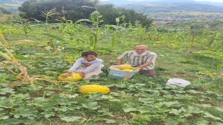 Türkelide küçük üretim, büyük ürün verdi
