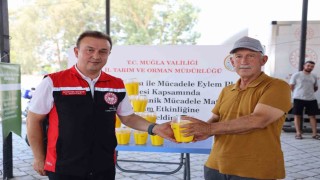 Turunçgil üreticilerine 8 bin Akdeniz Meyve Sineği tuzağı dağıtıldı
