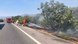 Ulada yol kenarında başlayan alevler korkuttu