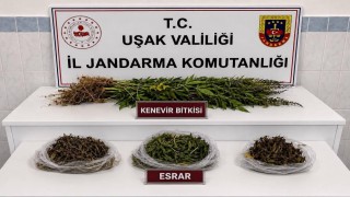 Uşakta kaçakçılık operasyonu