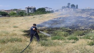 Van'da anız yangını