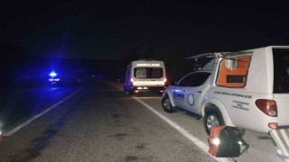 Yabani hayvana çarpan hafif ticari araç şarampole uçtu