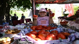 Yamanlar Tarla Domatesi üreticileri Tarla Günü etkinliğinde buluştu