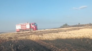 Yangına sebep olan şahıs tutuklandı