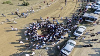 Yarışta çarpışan iki at telef oldu, jokey son anda atlayarak kurtuldu