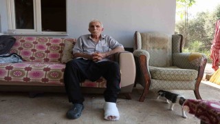 Yaşlı adama çarpıp hiçbir şey olmamış gibi yoluna devam etti