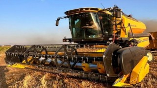 Yerli tohum Parla Erzurumun çetin kışına meydan okuyor
