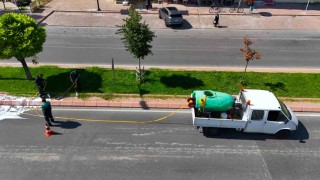 Yeşil alanlarda hastalık ve zararlılara karşı mücadele sürüyor