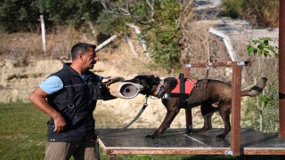 Yetiştirdiği kurtarma köpekleriyle doğal afetlerde birçok hayat kurtardı