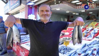 Yıllardır böylesi görülmedi: Karadenizden palamut fışkırıyor