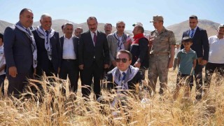 Yüksekova Kaymakamı Volkan Hülür Büyükçiftlikte buğday hasadına katıldı