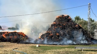 Yüksekovada 6 bin 500 bağ ot kül oldu