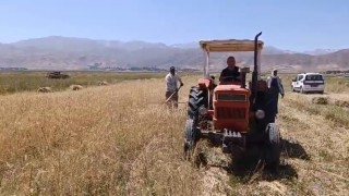 Yüksekovada sıcak havaya rağmen çiftçilerin hasat mesaisi başladı