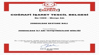 Zonguldak kestane balı coğrafi işaret tescili aldı