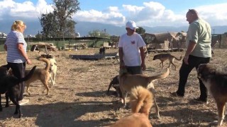 18 yıllık gönüllülük, 4,5 dönümlük yaşam evine dönüştü...130 cana yuva oldular