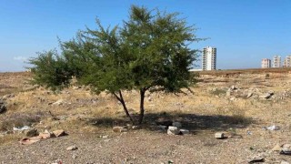Adana'da genç şahıs boş arazide ölü bulundu