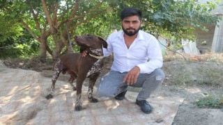 Adana'da köpeğe sopayla şiddet güvenlik kamerasında