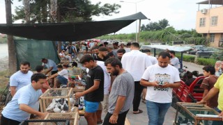 Adana'da kuş meraklıları kuş pazarında buluşuyor