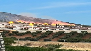 Adıyaman'da ormanlık alanda korkutan yangın